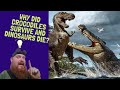 Why did Crocodiles Survive and Dinosaurs Die?