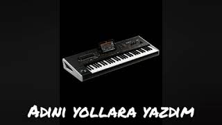Taverna Müzikadınıı Yollara Yazdım Cover