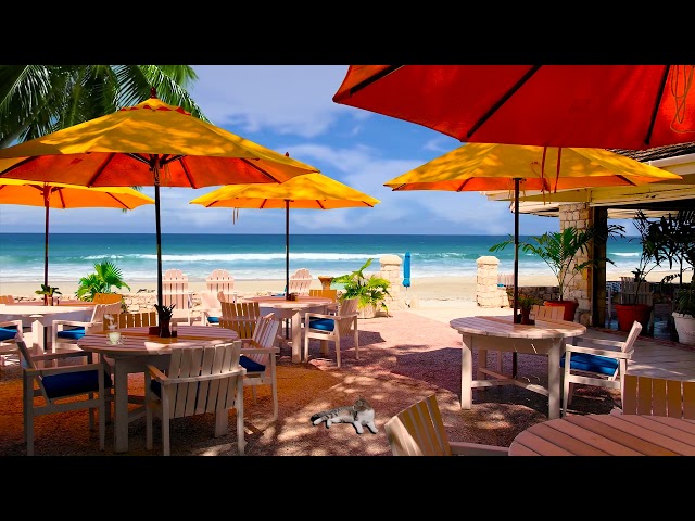 Seaside Cafe Ambience - Bossa Nova Music, Smooth Jazz BGM, Ocean Wave Sound for Study u0026 relax class=