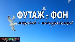 ФУТАЖ – МОРСКОЙ. Натуральный видеофон HD. Море. Небо.Чайки.