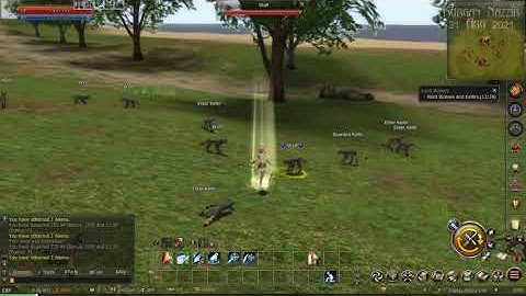 Lineage 2 (Aden) - built-in botting with the auto-hunt feature
