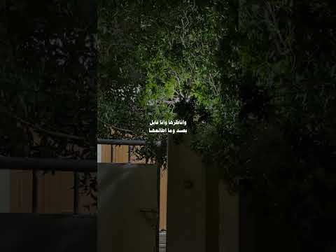 سعود الصليلي اعاتبها اجيها والعتب بين الحبايب ماهو بمرفوع بدون موسيقى ذوقي للناس الراقيه