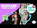 SHOULDER ANATOMY OF MOTION (New Course Launch!)