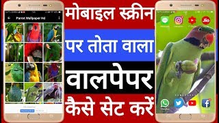 How to set parrot wallpaper on mobile screen // Mobile screen par parrot wallpaper Kaise set kare screenshot 1