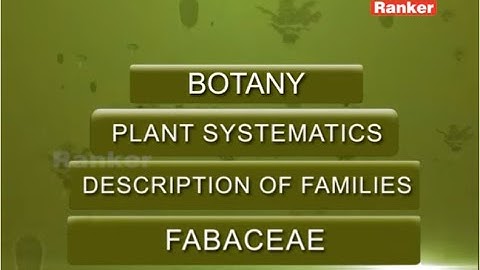 NEET Video lectures | Botany | Plant Systematics | Fabaceae