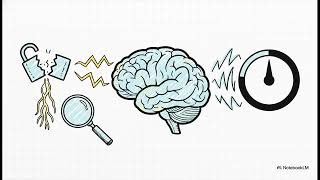 The Casino of Climax: Gambling with the Brain’s Predictive Coding