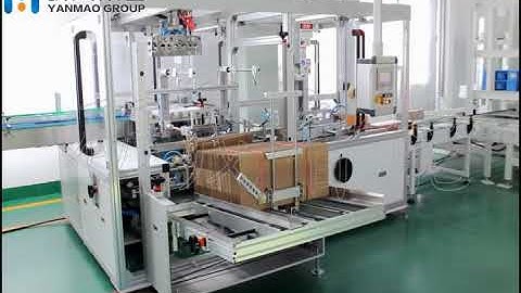 case packer palletizer and pallet feeder stretch pallet   on line packing solution from yanmao