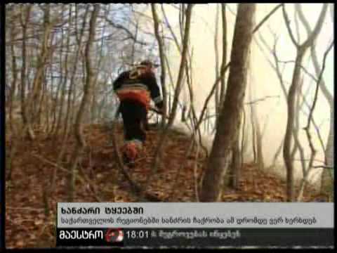 14/11/10 ხანძარი ტყეებში