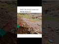 program to war gya#funnyshortsvideo#youtubeshortvideo by hn family