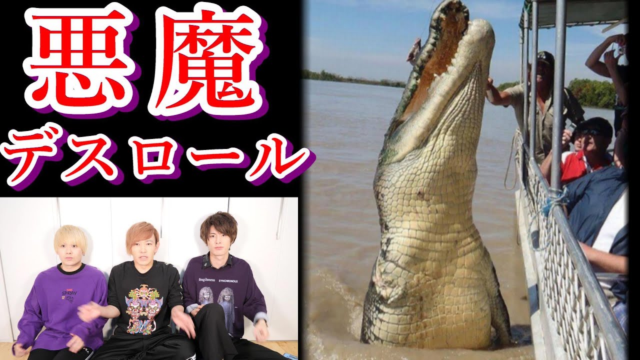 世界の危険動物が放つ デスロール がエグいて とtwitterで話題に 都市伝説 がーどまん Youtube 世界の危険動物が放つ デスロール がエグいて とtwitterで話題に 都市伝説 がーどまん Youtube