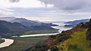 The New Precipice, Mountain Forest Walk, Welsh Countryside 4K