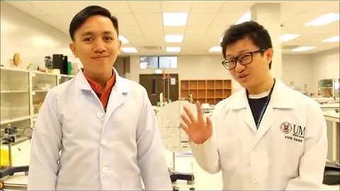 TORQUE AND STATIC EQUILIBRIUM