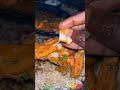 mandialways biryani recipe