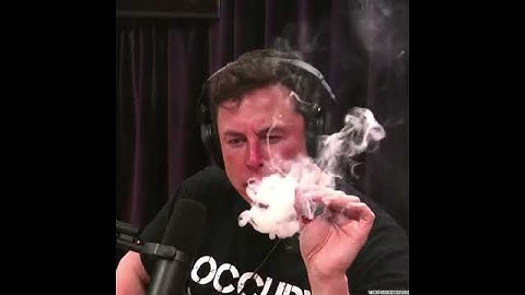 Elon Musk smoking 🚬