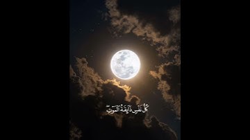 سورة العنكبوت آية 56 و 57