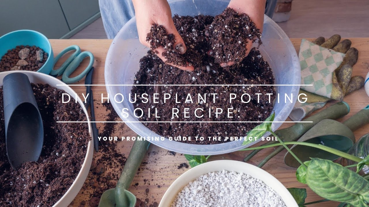 DIY Houseplant Potting Soil Recipe: Your Promising Guide To The Perfect ...