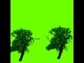 Green screen tree bard effects raning applemaza