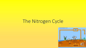 The Nitrogen Cycle Quiz (GCSE Science OCR Gateway)