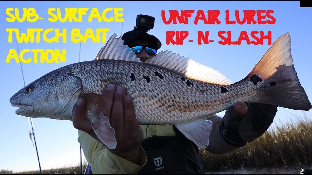 UNFAIR LURES Rip-N-Slash producing BIGGER and BIGGER Redfish & Speckled  Trout 