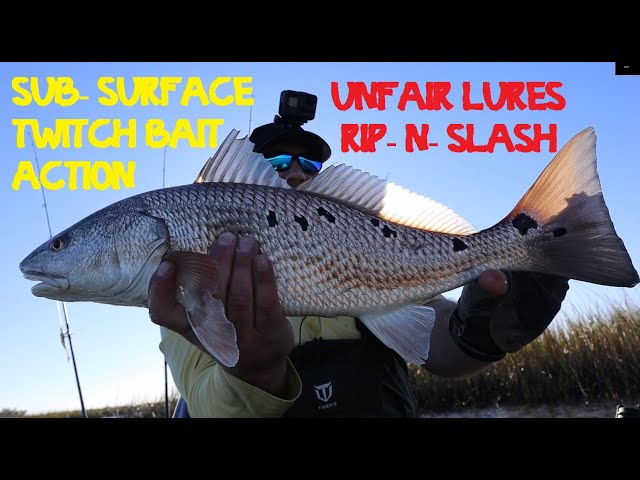 Slob gator trout on the Unfair Lures Rip-N-Slash!