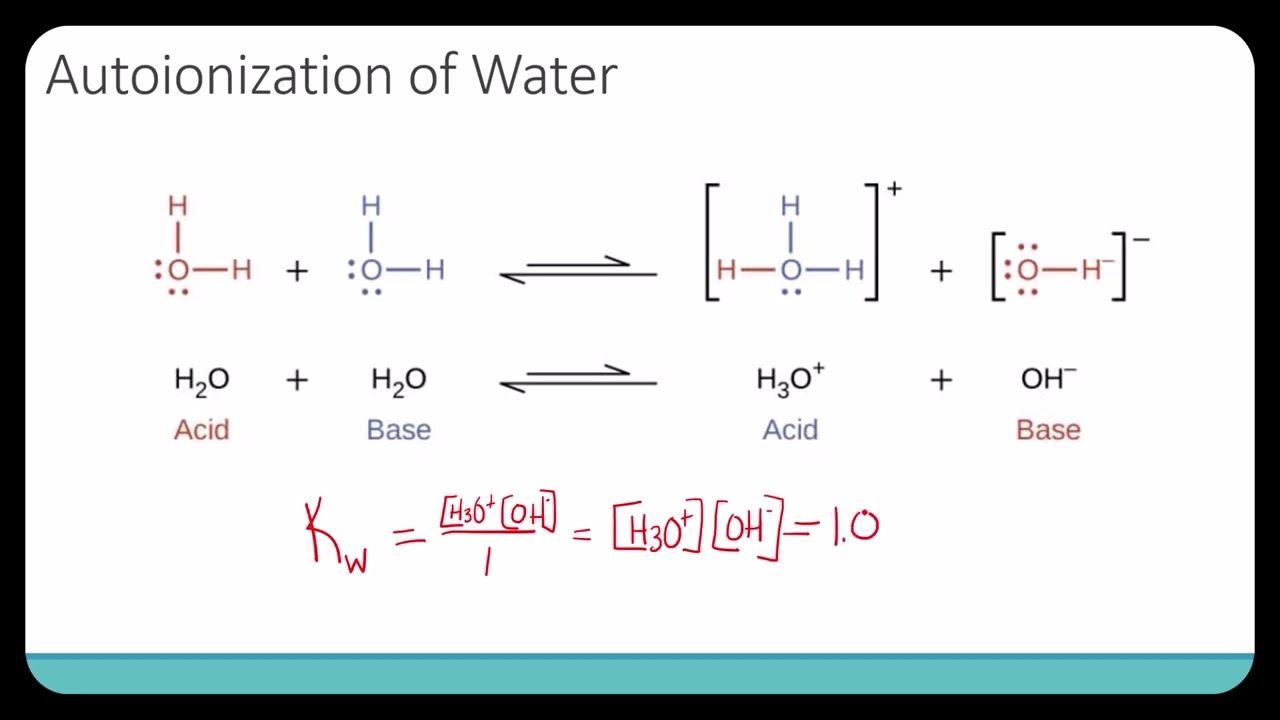 Self Ionization Of Water Autoionization Of Water And Kw