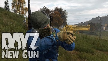 Desert Eagle - DayZ 1.09 Experimental