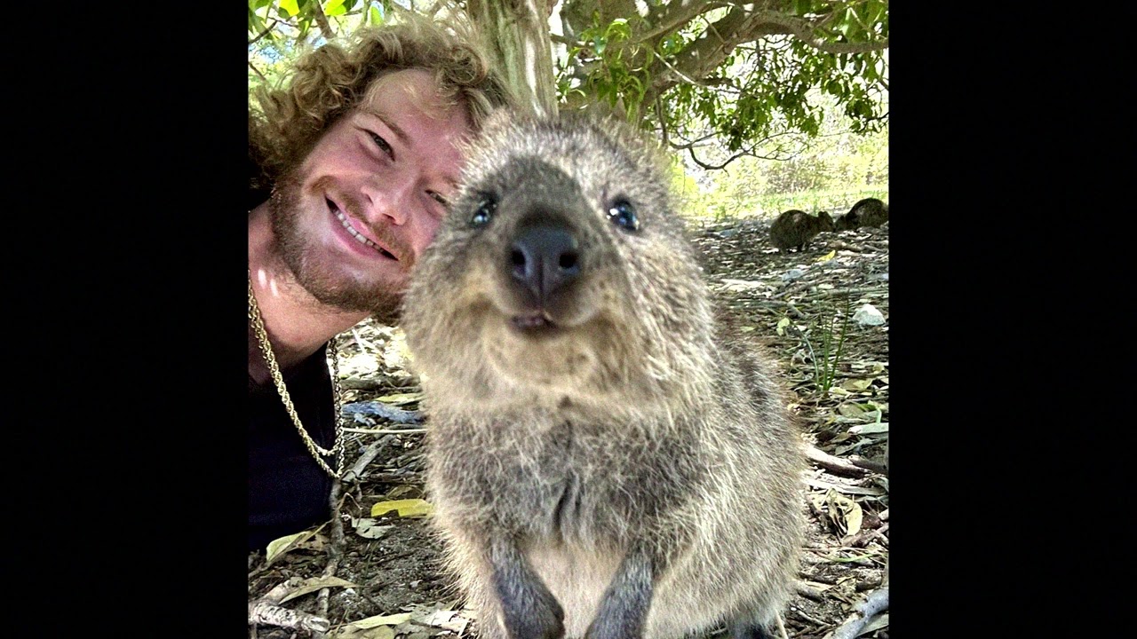 [FREE] yung gravy x bbno$ type beat - "lalala"