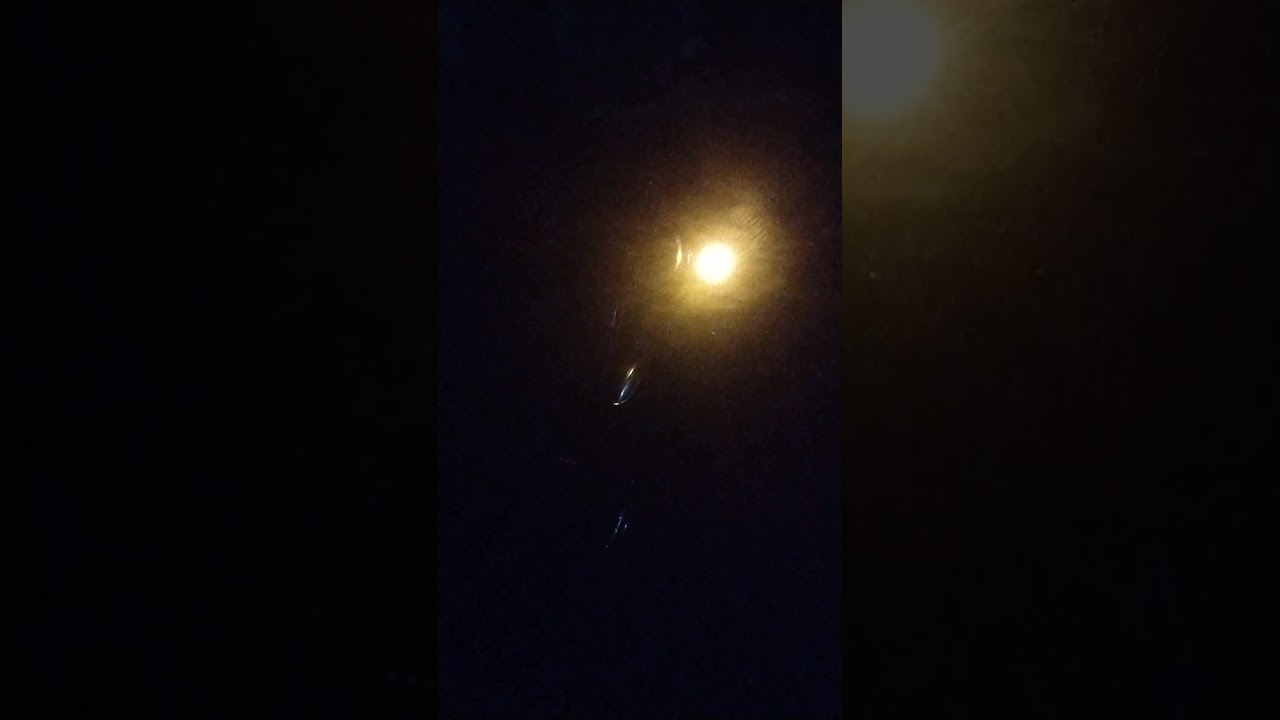 Universal bike  indicator blink 