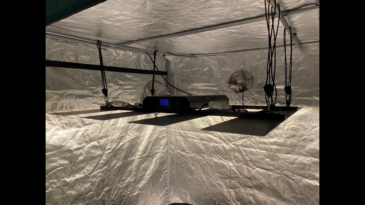 Grow The Jungle LED EAGLE 1000W - unboxing