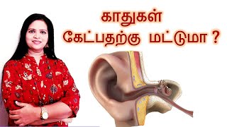 How the Ear works? | Human Ear - Structure and Functions in Tamil