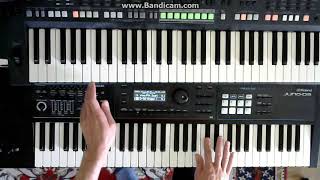 Baltimora - Tarzan Boy cover instrumental keyboard