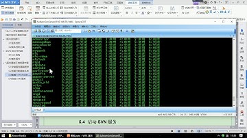 10 尚硅谷 Subversion SVN服务信息