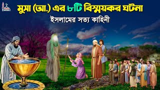 হযরত মুসা (আ.) এর বিস্ময়কর ৮টি ইসলামের সত্য ঘটনা Hazrat Musa Nobir Kahini Bangla Cartoon Alor Bahar