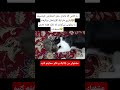 گربه بازی ترند ملوس گربه خیابانی بابچه هایش بازی میکند ایران Cat دخترانه Funny Kitten Short 