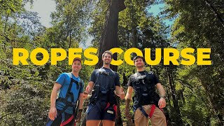 New UC Davis Full-Time MBA Students at Challenge Sonoma Adventure Ropes Course