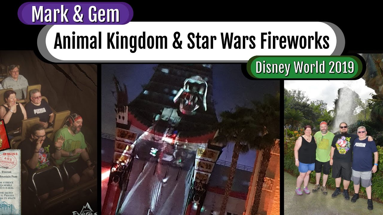 Walt Disney World 2019 - Animal Kingdom & Star Wars Fireworks - Day 2