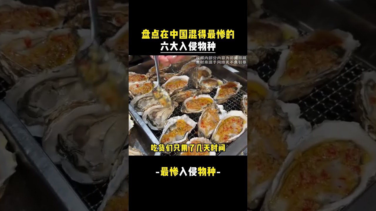 xjr  盤點在中國混得最慘的六大入侵物種！
