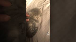 Pov Annem Beni Sabah Uyandırmaya Çalışıyordur ....