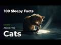 100 Sleepy Facts About Cats — Relaxing Science to Fall Asleep To