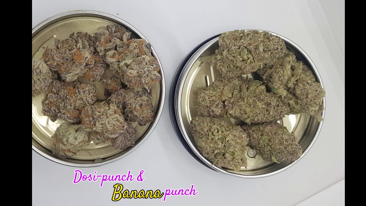 "Rate that bud" Dosi punch weed & Banana punch 