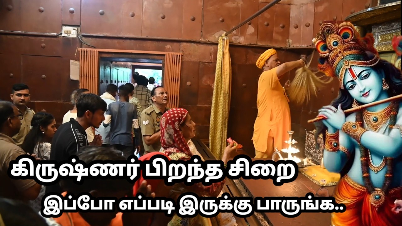 கிருஷ்ணர் பிறந்த இடத்தில் என்னல்லாம் நடக்குது பாருங்க Mathura, Vrindavan Tour