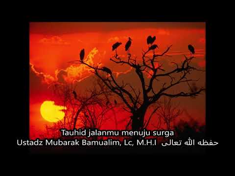 Kajian Kitab Bulughul Maram, Bab; Zakat - Al Ustadz Muhammad Nur Yasin حفظه الله تعالى