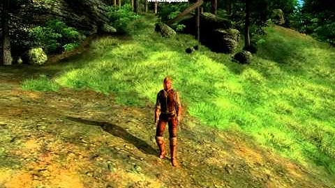 Dynamic Foot Position for Oblivion (Nehrim version)