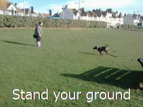 karen-training-vid,-recall.mp4