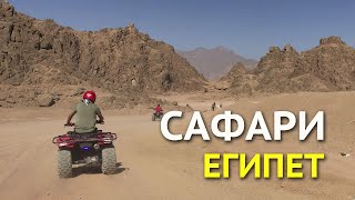 Сафари в Египете - лучшая экскурсия в пустыне