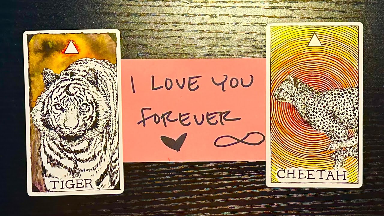 THEY ARE THE LOVE OF YOUR LIFE ☯️♾️🦢￼