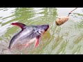 Fishing Video || The fishing experience of the village fishermen surprised everyone || Fish hunting