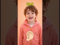 Toddler Learning Video l Point and Touch #toddlerlearning #preschoollearning #toddlers