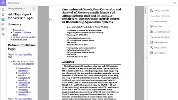 PDF Accessibility - Autotagging Document