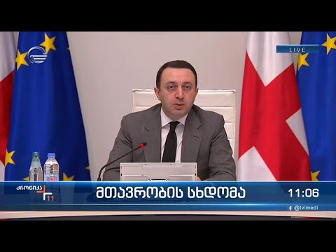 მთავრობის სხდომა - ირაკლი ღარიბაშვილის განცხადება